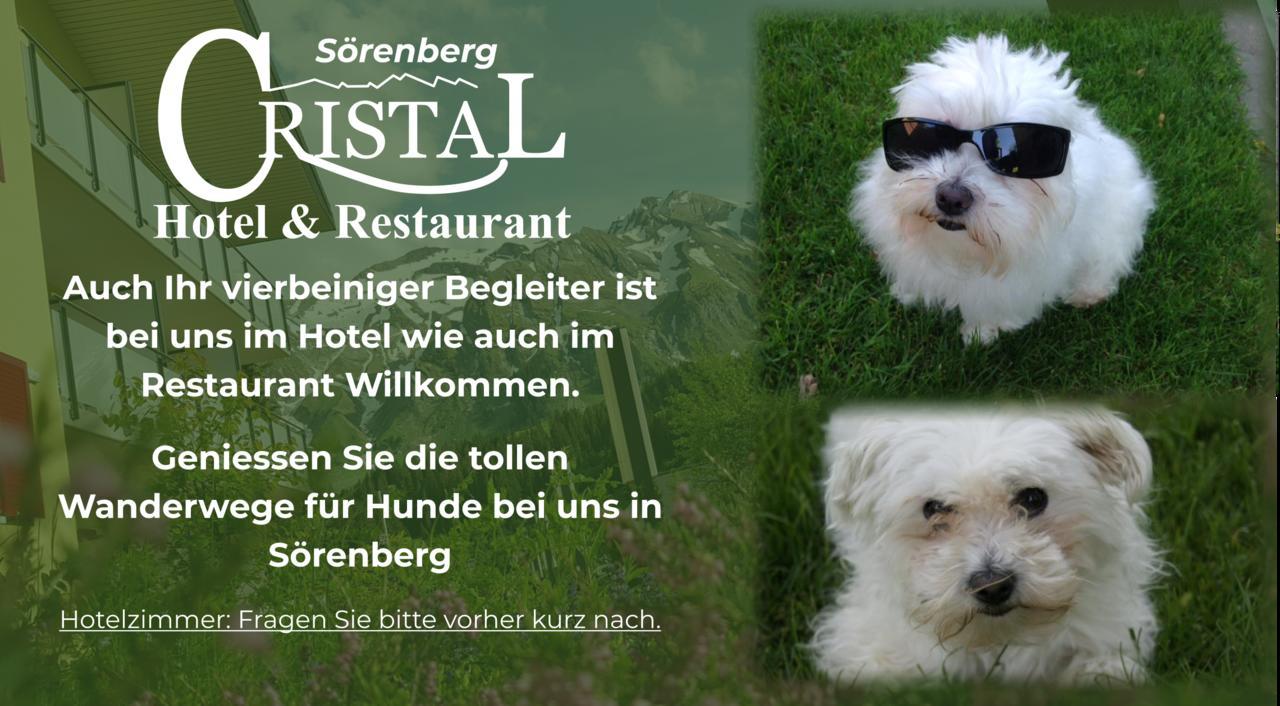 Hotel Cristal Soerenberg Exterior foto